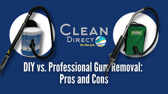 DIY vs PROFESSIONAL blog feature image