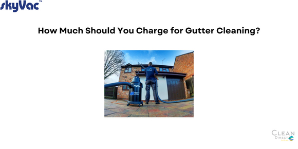 How Much Should You Charge for Gutter Cleaning?