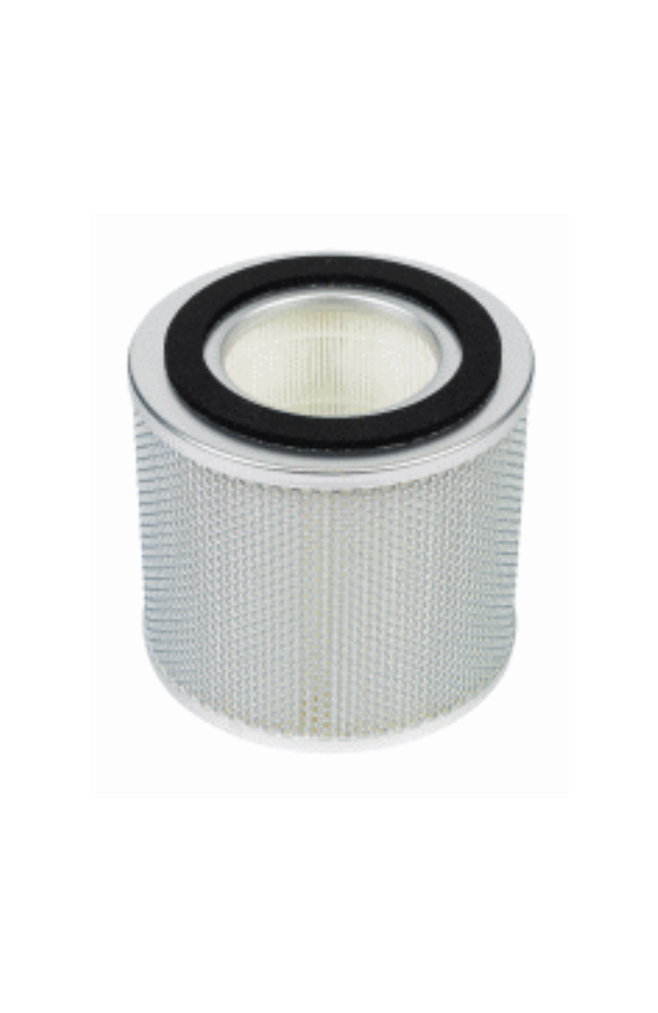 Nilfisk Replacement Absolute Filter