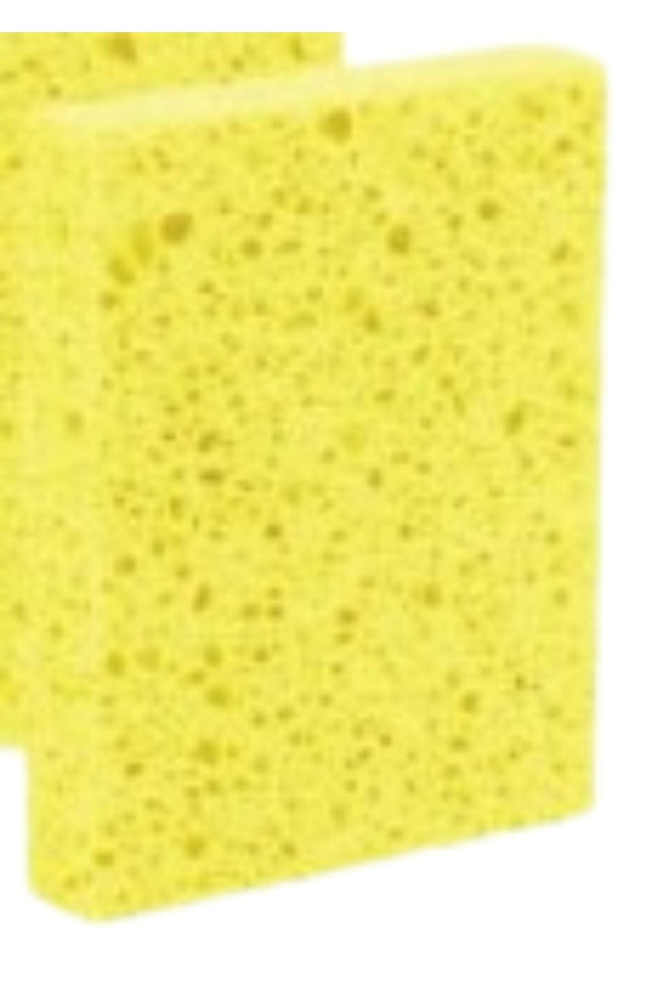 SM Arnold Brite'n up Pro Cel Cellulose Sponge - BNU-111