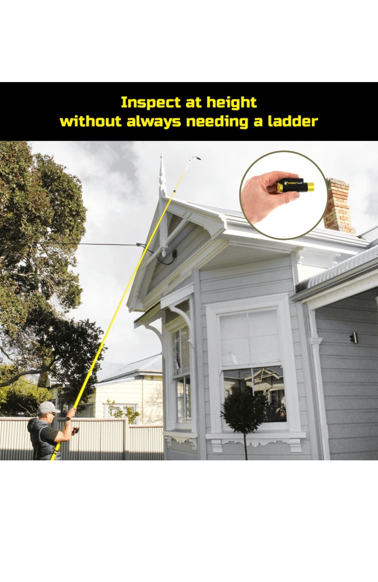 Ferret Plus at Height