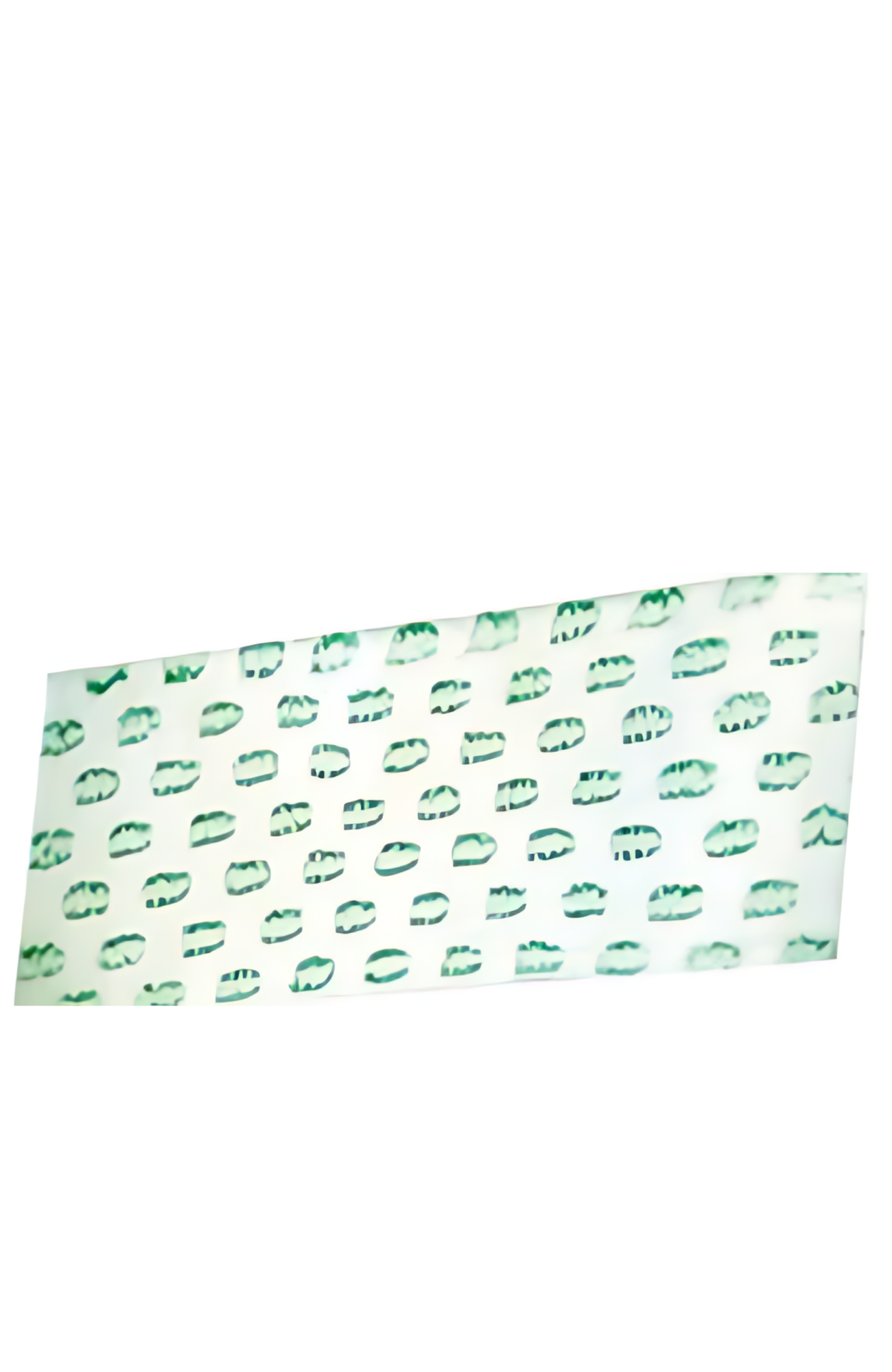 IPC Cleano Pads Glass or Spot Mop FRAN01108 FRAN01036