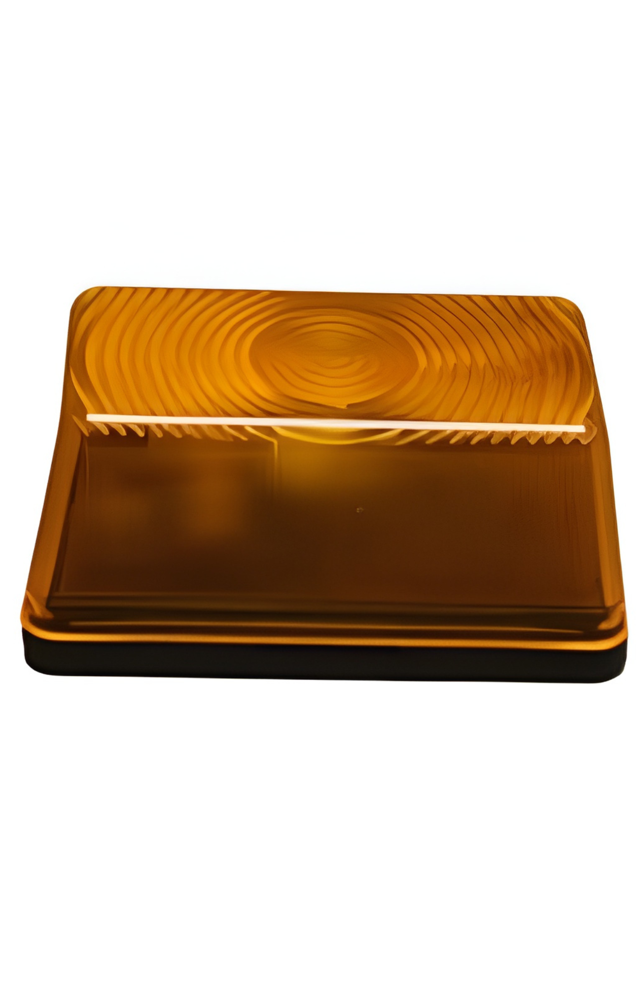 IPC Eagle 512 Rider Flashing Light Kit