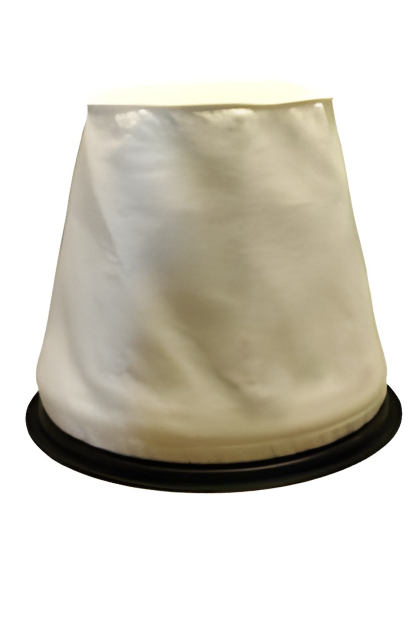 IPC Eagle Filter Bag Assembly Polyester (Standard Wet/Dry Models for Auto Discharge Pump Out Vacuums))