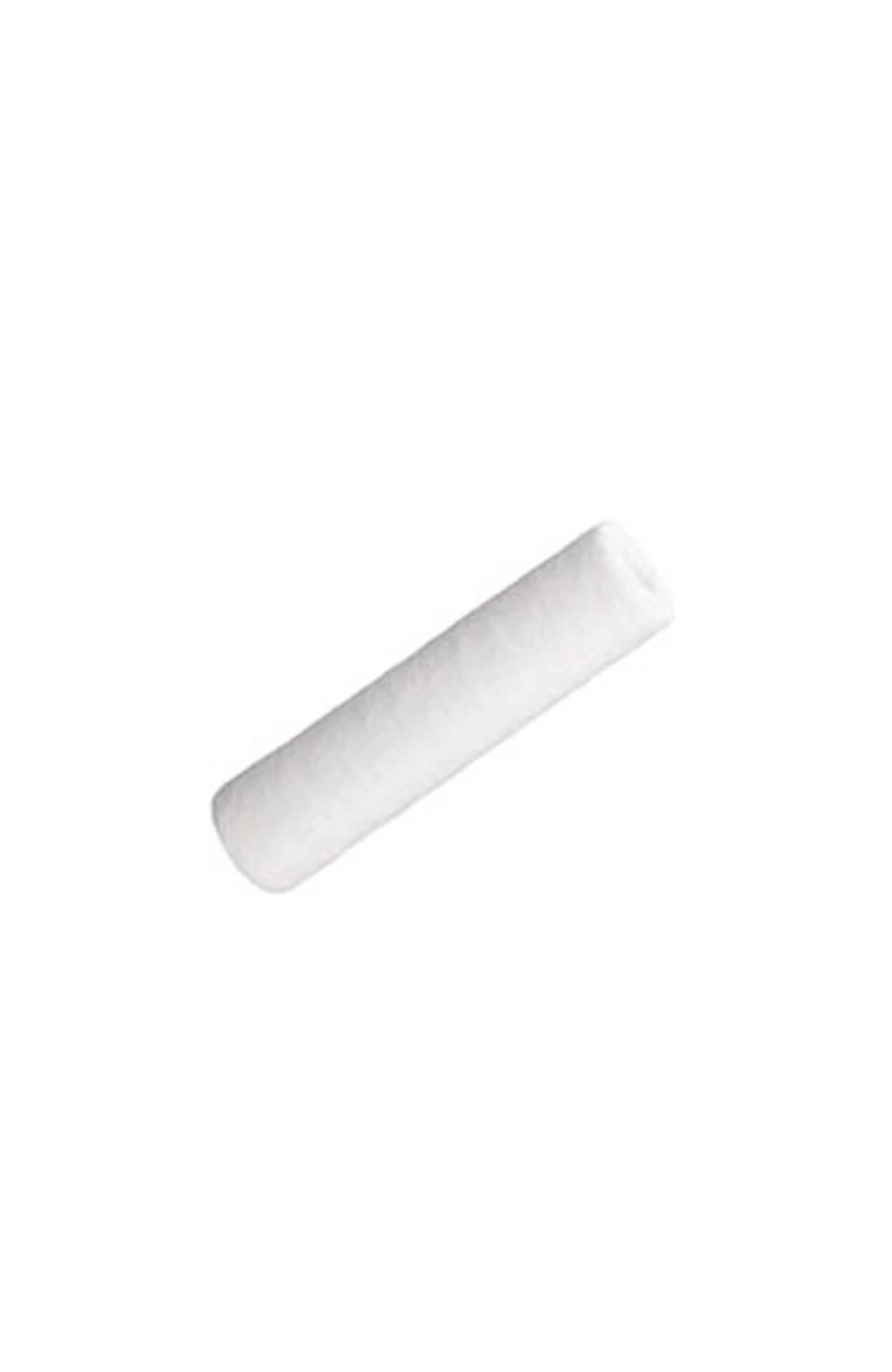 Ionic Systems 10 Inch Sediment Filter