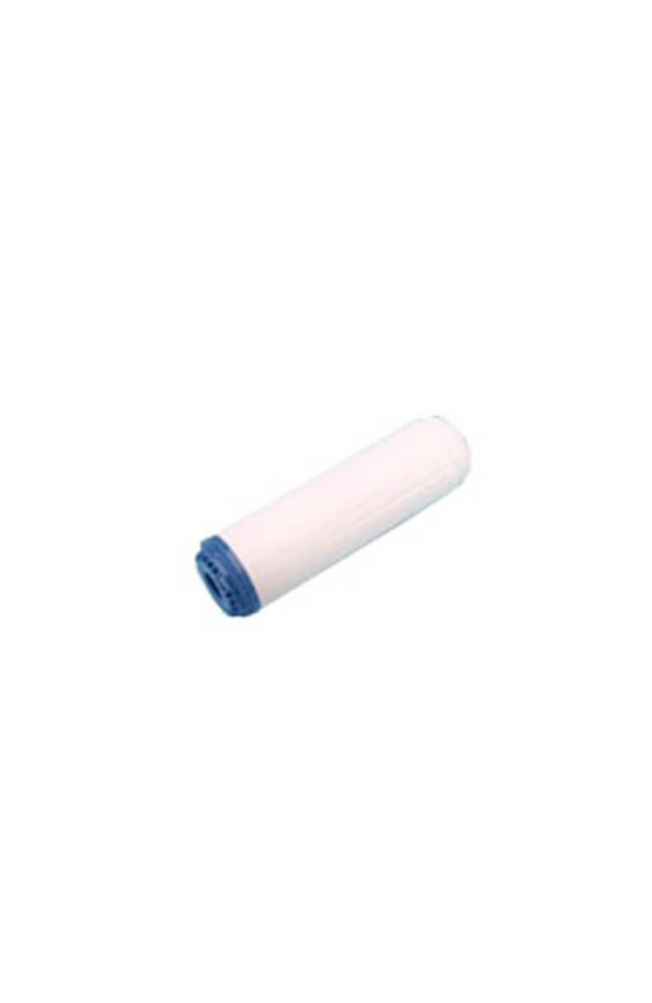 Ionic Systems 10" Sintered Carbon Filter