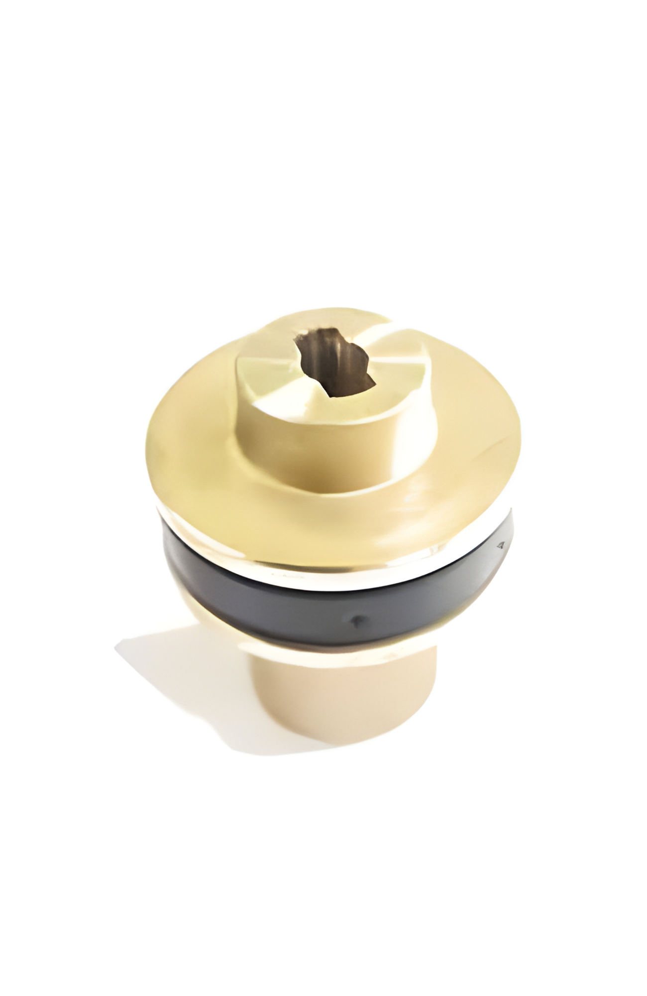 Ionic Systems Adapter Coupling Electric Motor to Brass Pump