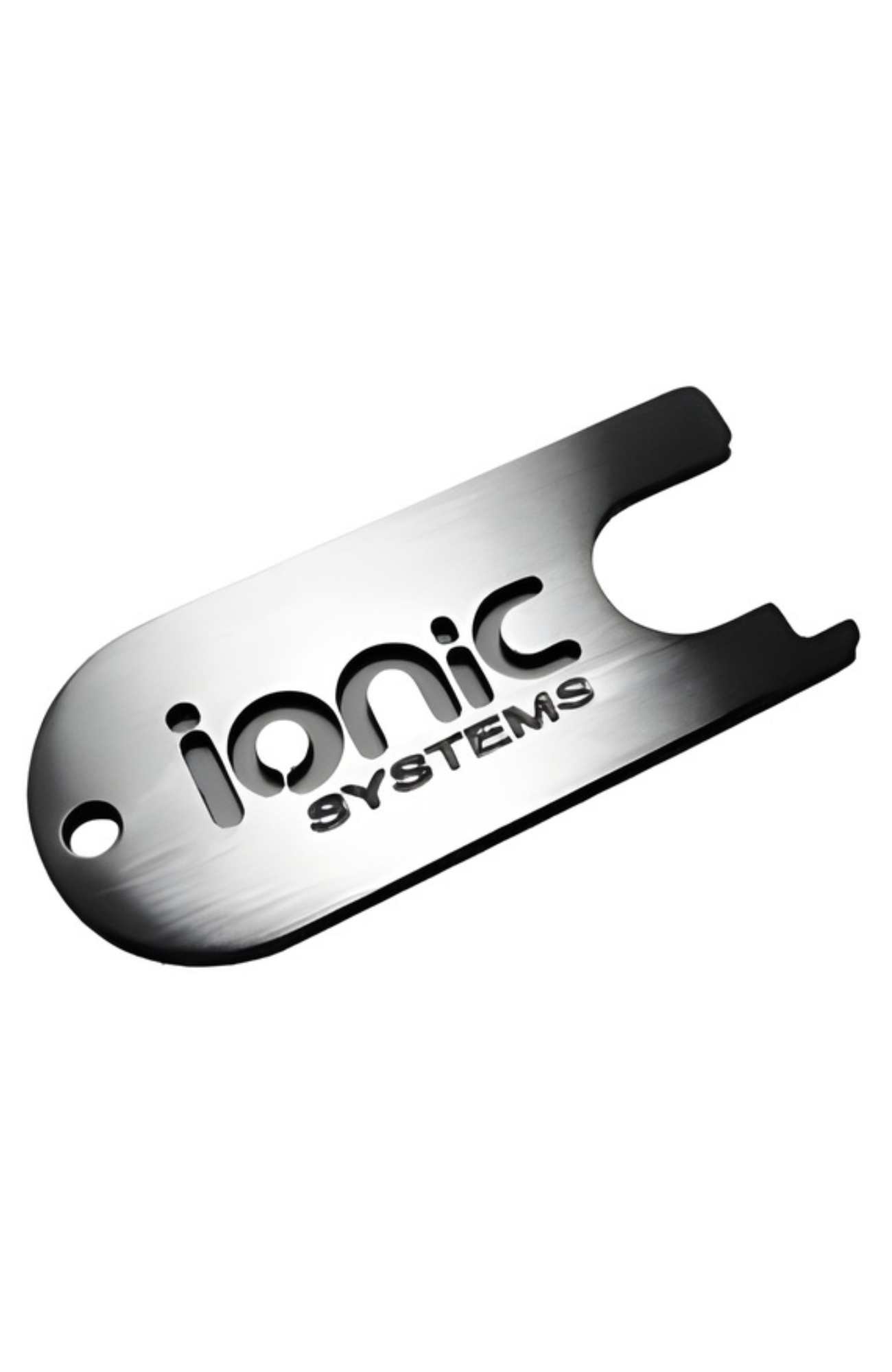 Ionic Systems Filter Key Ring