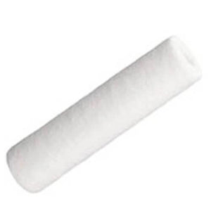 Ionic Systems 10 Inch Sediment Filter