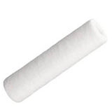Ionic Systems 10 Inch Sediment Filter